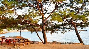 Check spelling or type a new query. Ozdere Kamp Yeri Ozdere Cadir Yeri Kalemlik Koyu Tatil Yeri