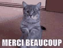 What are the sweetest creatures on the planet? Thank You Cat Gifs Tenor