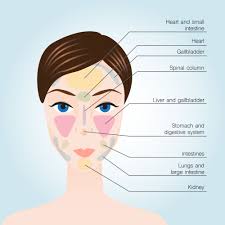 Cogent Reflexology Of The Face Chart Reflexology