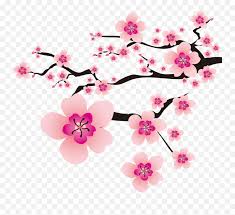 Download lebih dari 20 gambar bunga png tanpa background untuk mempercantik desain anda! Background Bunga Sakura Png Clipart Free Transparent Png Images Pngaaa Com