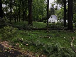 Sometimes your employer's group insurance will provide coverage for you if the purpose of your trip is for business. Connecticut Allows Out Of State Insurance Adjusters For Storm Damage Claims Connecticut Public Radio