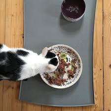 Mittagessen Schleck Was Gab Es Bei Euch Heute Feines Wir Menschen Hatten Rahmgemuse Mit Wurstchen Bei Fussel Und Co War Macs Au Wolle Kaufen Wurstchen Lachs