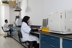 Help you deeply analyze the target market. Southeast Asia Malaysia Overseas Nihon Parkerizing Co Ltd