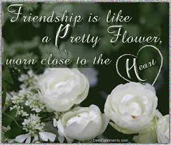 But then someone makes you a friendly sign behind a. Friendship Quotes With Flower Pictures Fashion And Beauty World