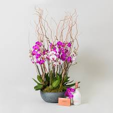 Maybe you would like to learn more about one of these? Same Day Flowers London Send Flowers Same Day