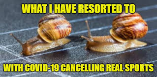 Snail racing: Better than no sports at all. - Imgflip