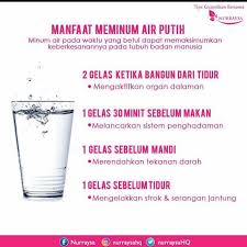 Salah satunya adalah menjadi bahan alami untuk kecantikan dan kesehatan. Manfaat Minum Air Putih Siapa Ramzah Agent Nurraysa Facebook