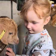 20 Best Parks and Playgrounds In Leighton Buzzard Near Me