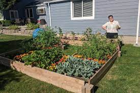 If the soil is piled deep enough, it will smother the grass under a raised bed. These Lego Like Bricks Make Building A Raised Garden Bed A Snap Wirecutter