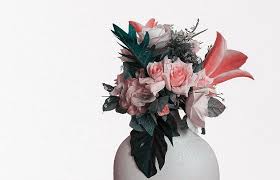 We did not find results for: Flower Artificial Leaves Transparent Background Decorate Plant Flowering Plant Studio Shot One Person Nature Pxfuel