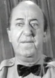 Son of Flubber (1962)