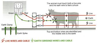 Connect the sleeve wire and the ring wire to either one of the single wires you ﬁshed out. Electric Fence Buying Guide