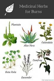 Fantastic Health Tips Tips Are Readily Available On Our Internet Site Check It Out And You Will Not Be Sorry You Did Healtht Pflanzen Psoriasis Diat Krauter