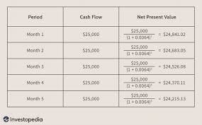 Net Present Value Npv