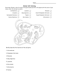 We did not find results for: Animal Cell Coloring Pittsfield Public Schools