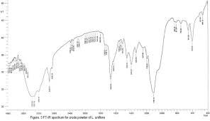 Image result for Leptochloa uniflora