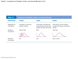 table 6 1 comparison of skeletal cardiac and smooth