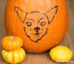 Get inspired with our spooktacular printable pet pumpkin carving templates! Carve A Dog Pumpkin Our Potluck Family