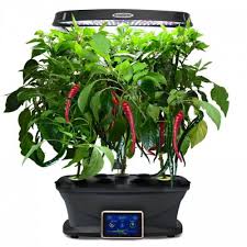 Although ground cayenne pepper can be bought at most grocery stores, it can also cost more at those locations. Cayenne Pepper Seed Kit Tall Garden Kit