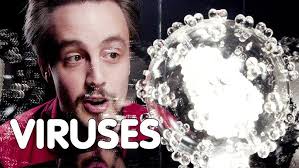 Mini Minerva: The Wonderful World of Plankton with Russell Arnott