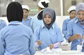 Kerja kami melibatkan kontrak dalam sektor perladangan dan pertanian seperti pemetikan dan pembungkusan buah epal. Tenaga Kerja Indonesia Banyak Disukai Orang Luar Negeri Qelola Blog