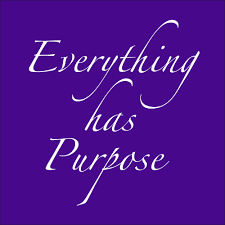 Everything Has Purpose Home Facebook