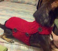 He even has a little popped collar! Ravelry Side Button Dog Sweater Pattern By Alisha Hansen Dog Sweater Pattern Dog Sweater Crochet Pattern Knitting Patterns For Dogs