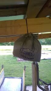 4 easy approaches to get rid of bumble bees fast. Want To Get Rid Of Wood Bees Put Up A Hornet S Nest Grey Bag Filled With Plastic Bags Hornets Are A Natural Enemy An Wood Bees Boring Bees Wood Bee Trap