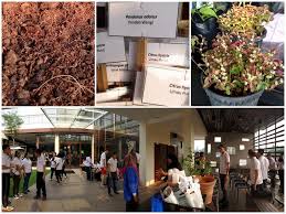 Kavinė šahalamas, selangor, malaizija darbo valandos starbucks coffee kota kemuning. Starbucks Malaysia On Twitter G Morning We Re At Starbucks Kota Kemuning Dt For Green Project Partners Residences Learn Plant Edible Garden Http T Co Jcehcjwkn9