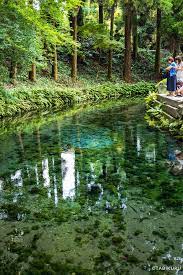 白川水源 九州 旅行 旅行 水質