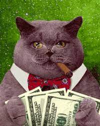 Maybe you would like to learn more about one of these? Cats With Money Gifs Get The Best Gif On Giphy