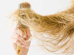 Make sure to perform a patch test on a small piece of skin you can dye it with hair dye. Can You Bleach Wet Hair Choosing The Right Strategy