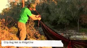 Eno double nest forest charcoal. Pin On Learn Travel And Exploration