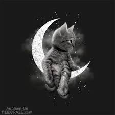 Dream Cat T Shirt Cat Art Cats Animal Art