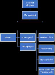 Organizational Structure Of Indykpol Azs Olsztyn In 2013