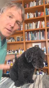 Do you have a coughing dog? It could be Tracheal Collapse: Best Home  Remedies! Dr Jones' Free Book... http://www.veterinarysecrets.com