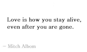 A radically simple approach to having endless energy and filling every day with yay. Tuesdays With Morrie By Mitch Albom Book Summary The Enigmatic Creation