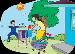 Soal Tematik Kelas 4 Sd Mi Edisi Revisi 2017 Tema 2 Subtema Sumber Energi Pendidikangratis Id