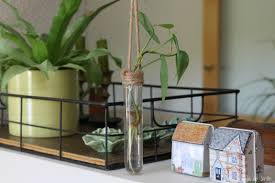 Pero para este caso tienes que ser muy cuidados en las clases de plantas que utilices, ya que tienes que ser plantas que no necesiten de mucho terreno para su desarrollo, del mismo modo sucede si utilizas plantas en. Plantas Que Puedes Cultivar Dentro De Un Recipiente Con Agua