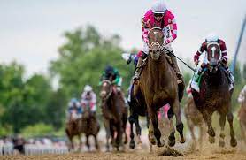 Also the oldest of the three, dating back to 1867, and the longest at 1 1/2 miles, the test of the champion has tremendous buzz when the kentucky derby/preakness winner seeks an historic triple crown sweep. Belmont Stakes 2021 12 Possible Starters In Early Lineup