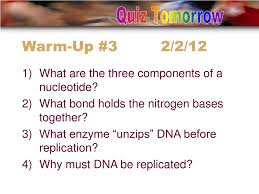 2.7 dna replication, transcription & translation. Ppt Warm Up 4 2 5 13 Powerpoint Presentation Free Download Id 502022