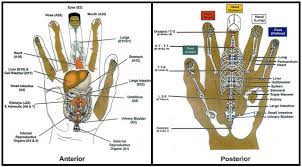 20 Described Acupuncture Alarm Points Chart