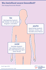 Was Beeinflusst Die Gesundheit Stiftung Gesundheitswissen