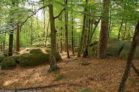Fontainebleau Forest France Google Search Jpg
