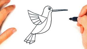 We did not find results for: Hummingbird Drawing Tutorial Social Useful Stuff Handy Tips