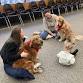 Read to Therapy Dogs Penny and Rosie (from Pets event image