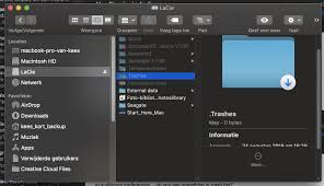 When you search in spotlight, it looks in this index rather than searching all the files directly. An Album In Audirvana Seems To Link To Trashes Library Management And Itunes Audirvana