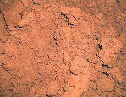 Clay soil can be frustrating. Soil Types Boughton