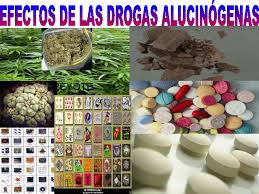 Resultado de imagen para imagenes de drogas alucinogenas