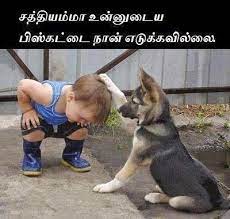 Tamil Funny Dog And Boy With Comment Funny Comment Pictures Download Funny Animal Pictures Animals Cute Animals